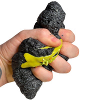BLACK SESAME CROISSANT SQUISHY