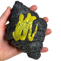 BLACK SESAME CROISSANT SQUISHY